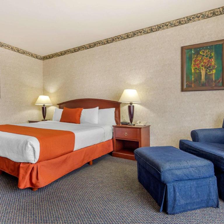 Quality Inn Monterrey La Fe - Standard King Room - 6