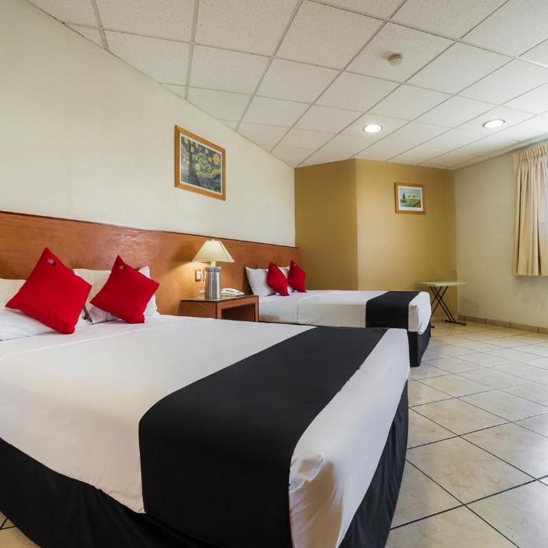 Hotel Zadapi - Estándar - 2 camas - 8