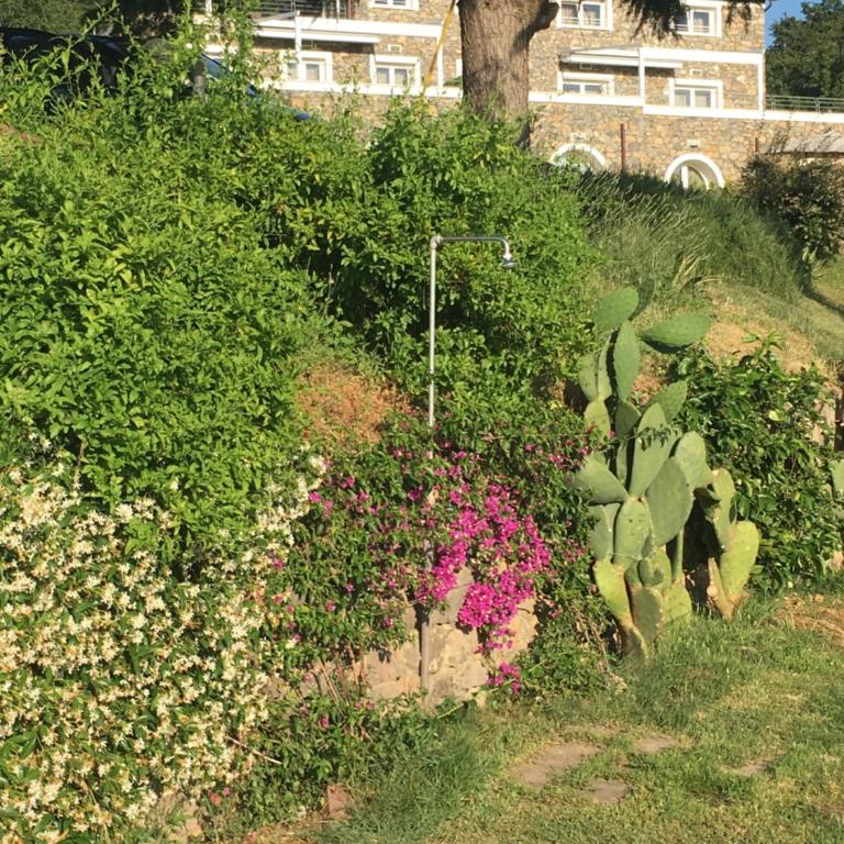 Cinque Terre, Tuscany, Liguria, Lerici, apartment #3 - Appartamento con 3 Camere da Letto - 49