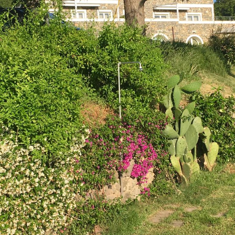 Cinque Terre, Tuscany, Liguria, Lerici, apartment #3 - Appartamento con 3 Camere da Letto - 40