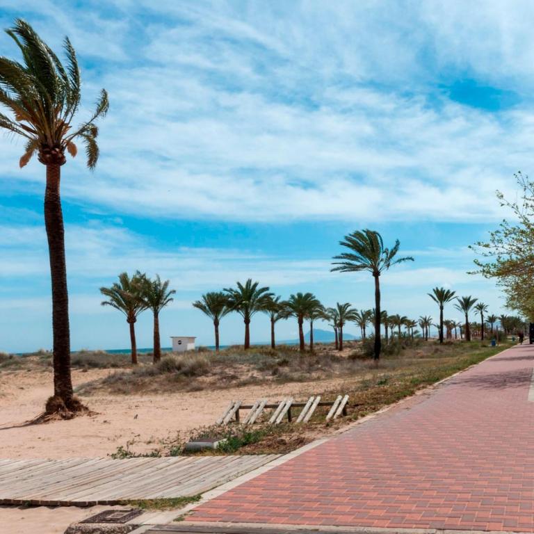 Tallarol - Apartamento - 12