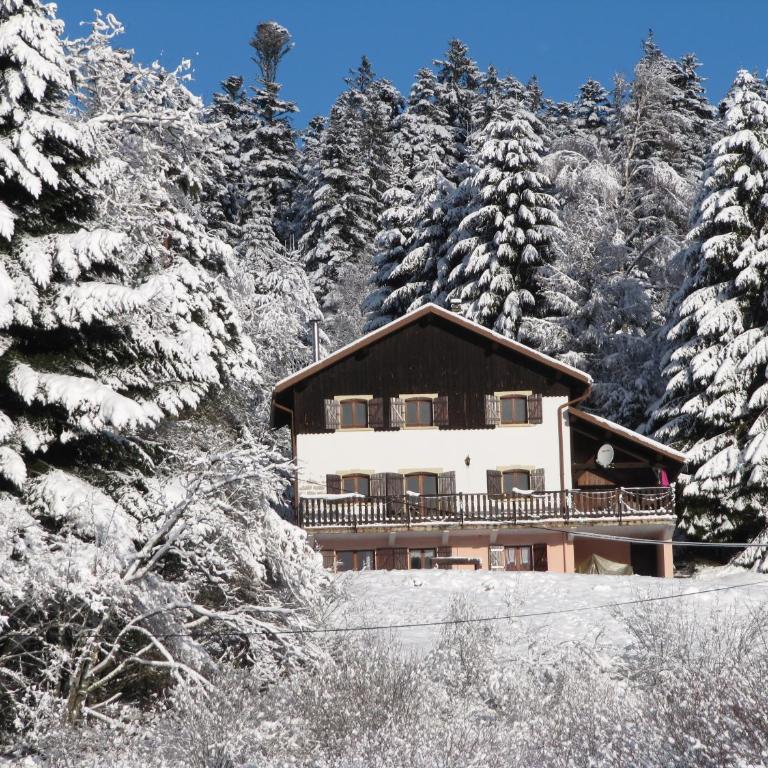 LE CHALET VOSGIEN bain nordique Kota Grill - Chalet - 1