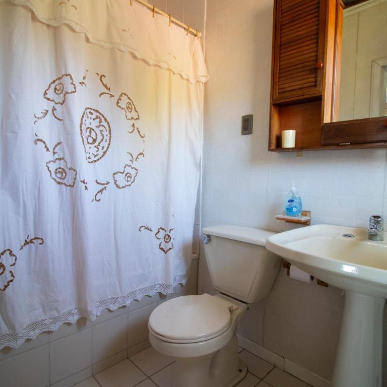 B&B Casa Amancay - Lago Ranco - Standard Twin Room with Mountain View - 10