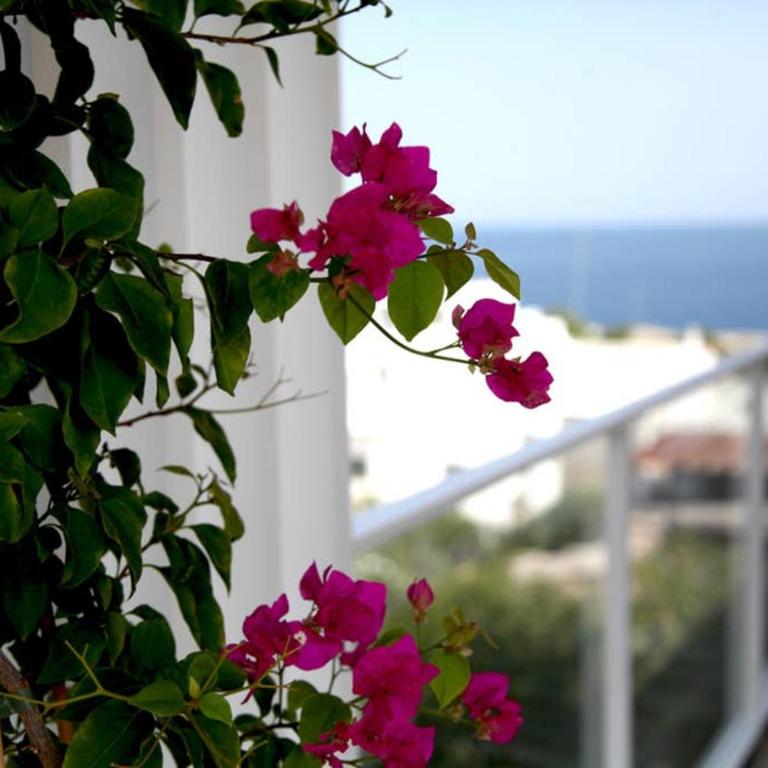 La Terrazza Di Marta- Enjoy Apulia - Appartamento - 12