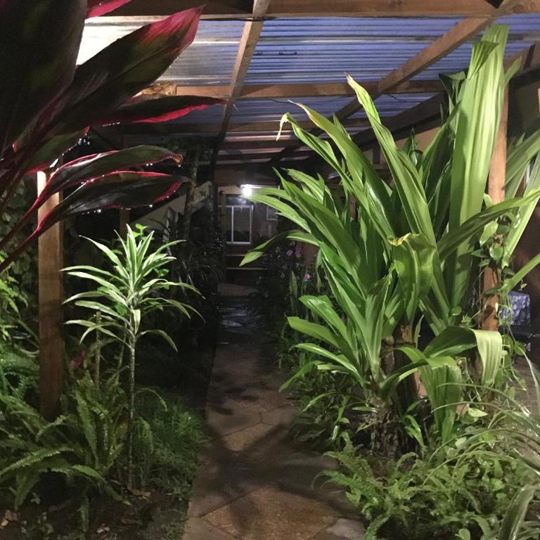 Hostal Vaihere - Double Room with Private Bathroom - 2