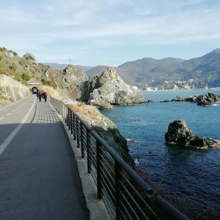 CASA LORENZO SULLE COLLINE DI LEVANTO e VICINO ALLE CINQUETERRE LT-0620 - Appartamento - 40