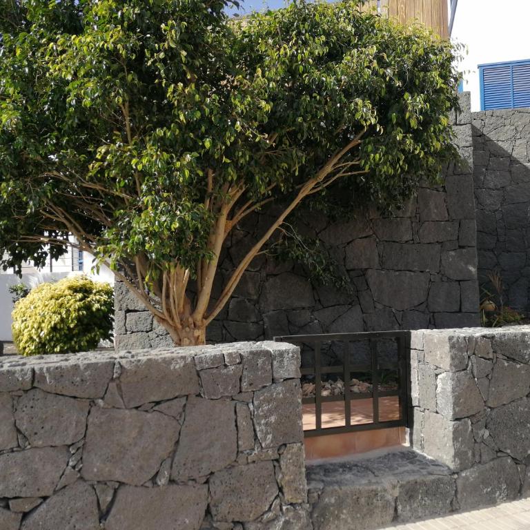 Estudio Vista Rubicon - Apartamento de 1 dormitorio - 19