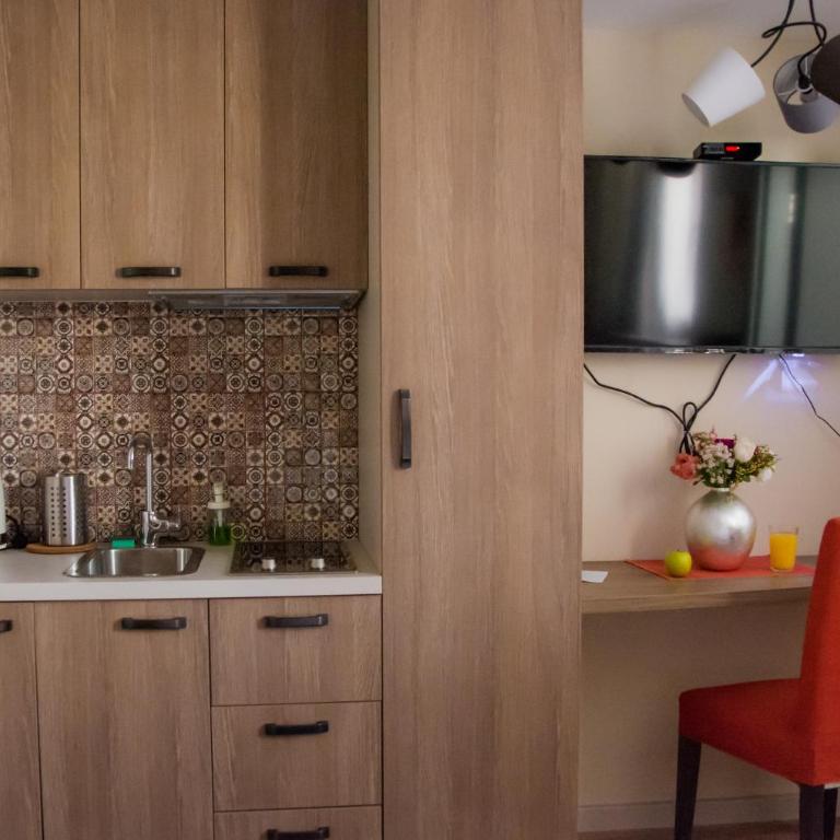 Apartments Srbija - FREE PARKING - Standardni Studio - 3