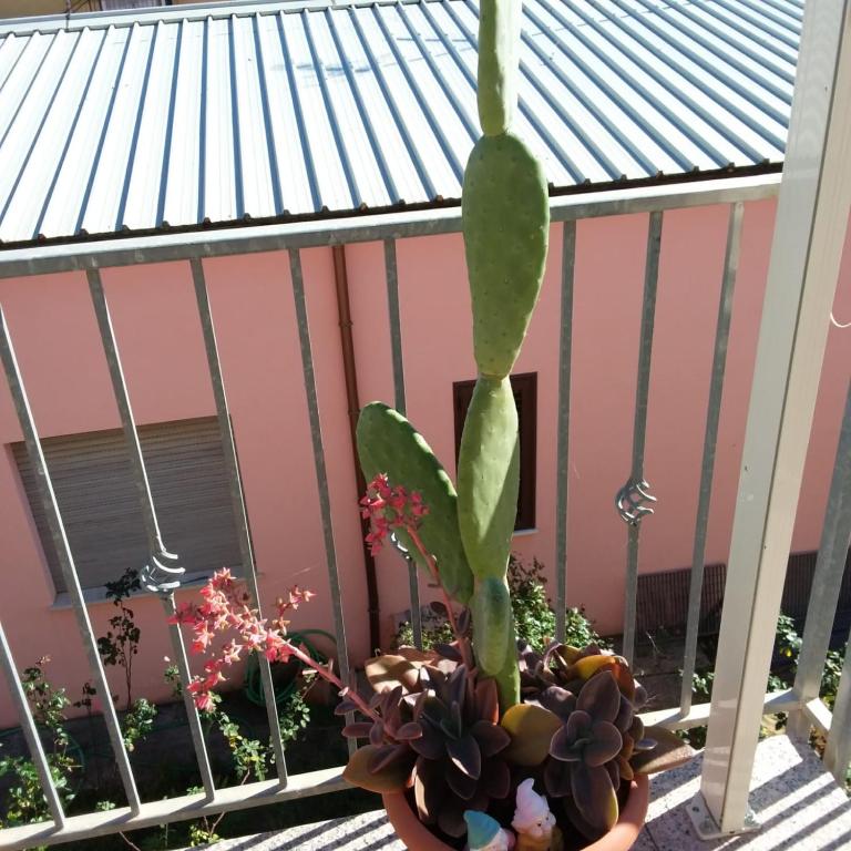 Casa vacanze Antonella Pula a 750mt dal centro. - Two-Bedroom House - 14