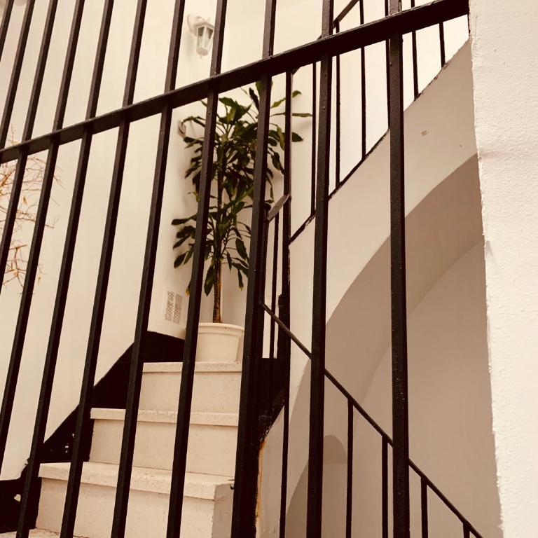 Micaela - Apartamento de 1 dormitorio - 9