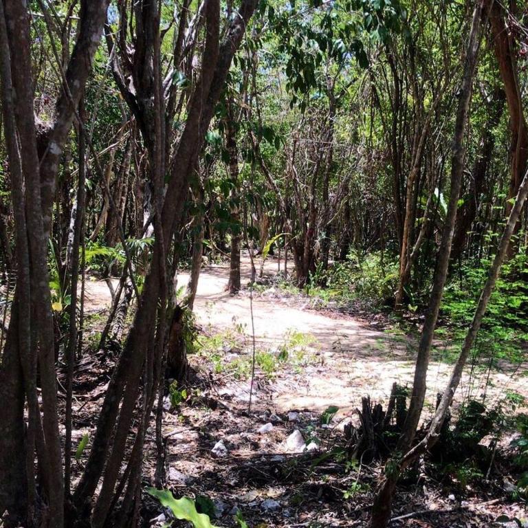 Tulum Nueve - Bungalow with Fan - 8