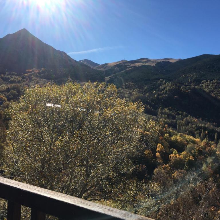 C17 - Edif Aigualluts - Villmor - Apartamento de 2 dormitorios - 8