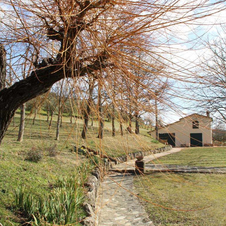 Podere la Campagnola - Vacation Home - 29