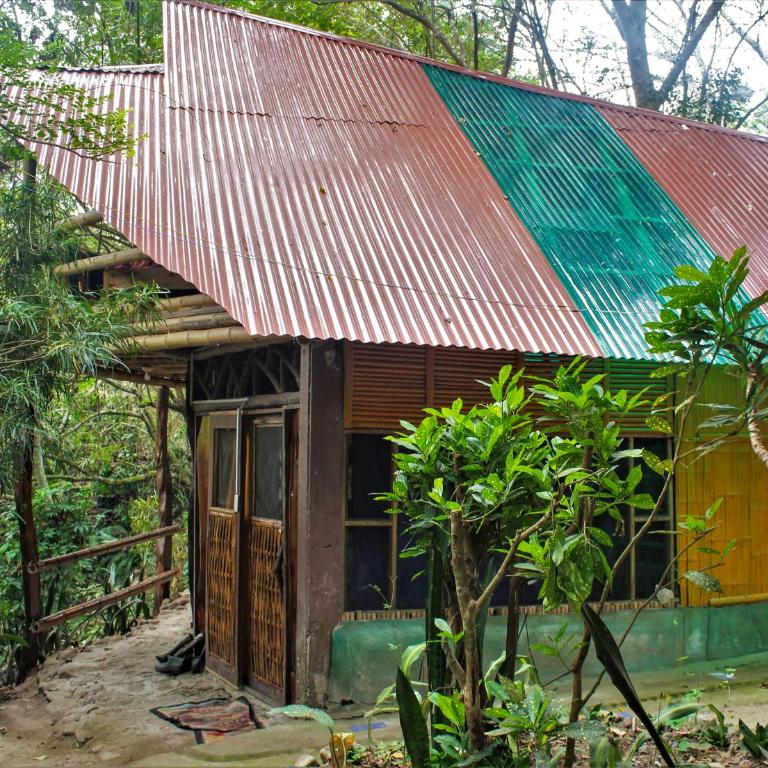 Río Muchacho Organic Farm - Bed in 10-Bed Mixed Dormitory Room - 2