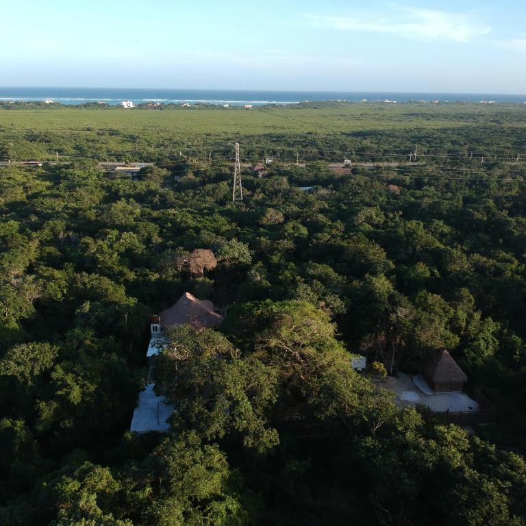 Tulum Nueve - Bungalow with Fan - 9