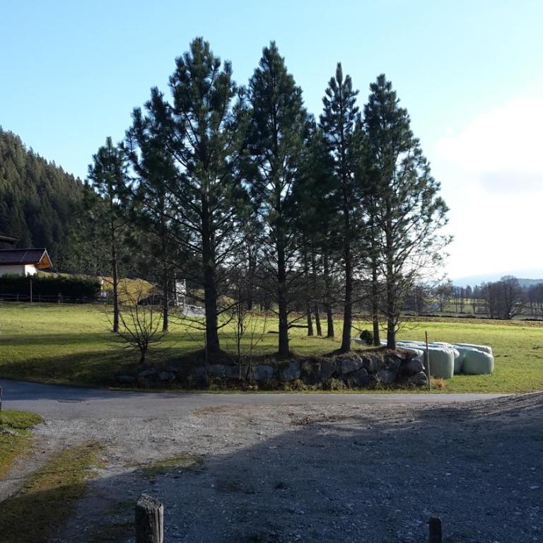 Ferienhaus Abendstille - Chalet mit Balkon - 4