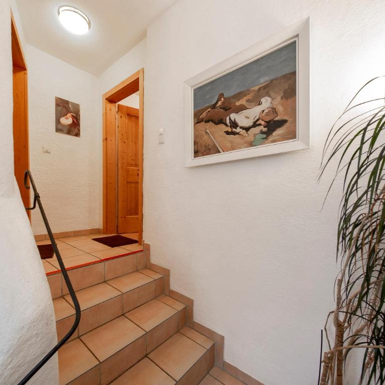 Gästehaus Strauss - Apartment - 1
