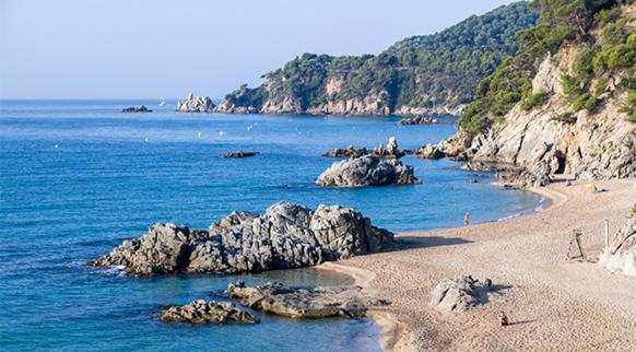 AL01 Estudio 250 m de playa de Fenals, Costa Brava - Apartamento de 1 dormitorio - 15
