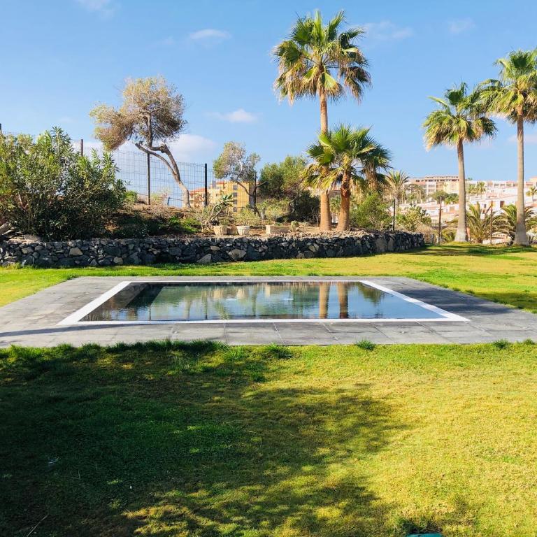 Cactus Apartment - Apartamento - Planta baja - 37