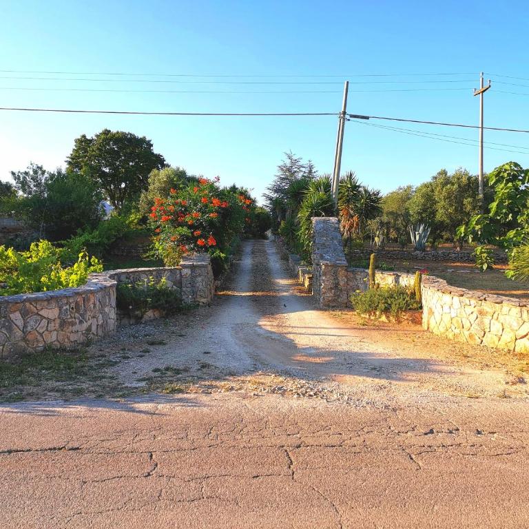 Trullo Madia e Dimora Giorgio - Casa Vacanze - 35
