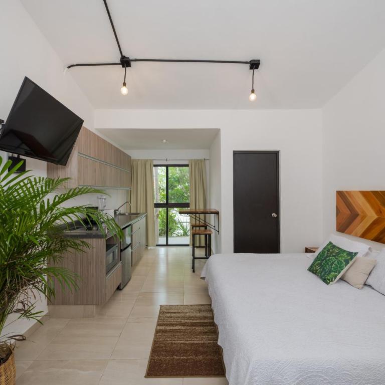 Stay Tropical - Apartamento Estudio - 1