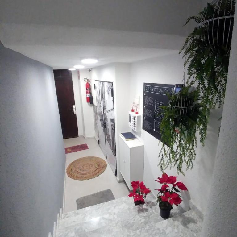 San Francisco 10 Boutique Apartments - Centro Alicante, a pasos de Playa Postiguet - One-Bedroom Apartment - 8
