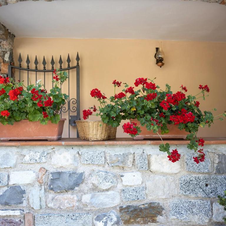 Casa Rita 3 - Lago di Garda - Appartamento con 2 Camere da Letto - 29