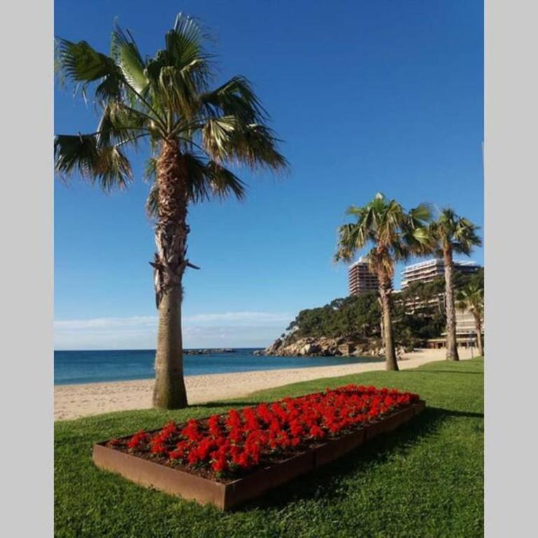 Costa Brava-St Antoni de Calonge apartament per parelles i famílies petites - Apartamento de 1 dormitorio - 25