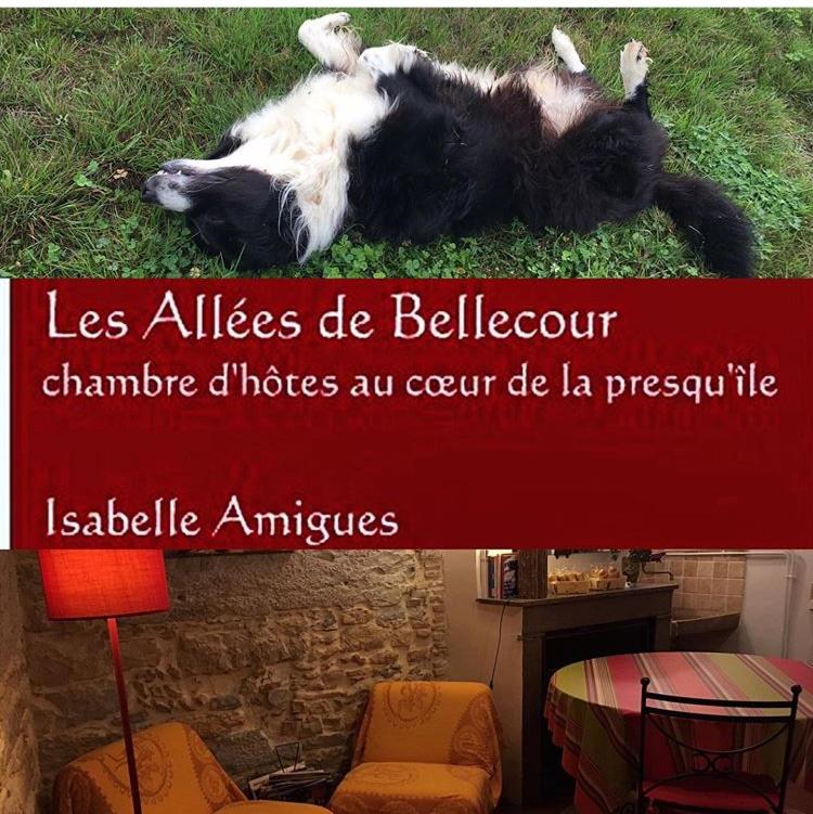 Les Allées de Bellecour - Studio - 16