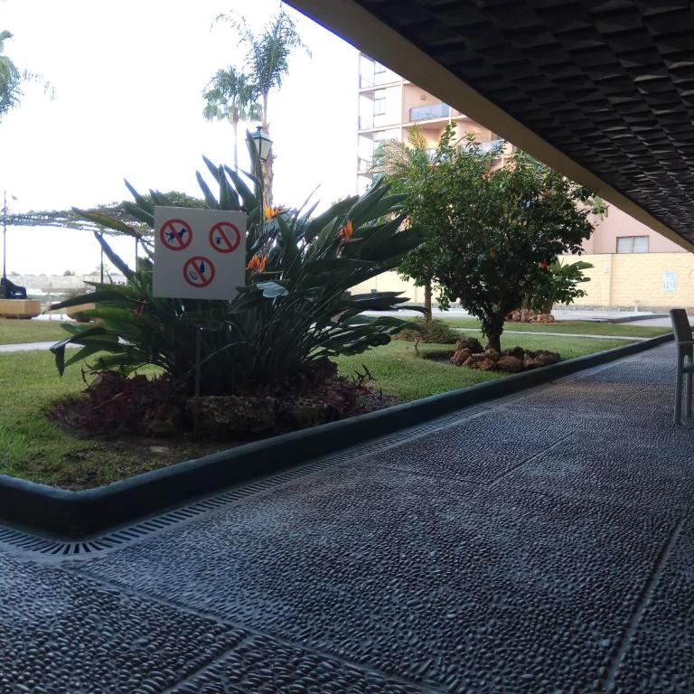Esplendido APARTAMENTO, CARIHUELA EDIFICIO EL REMO, PRIMERA LÍNEA - Apartamento de 2 dormitorios - 34