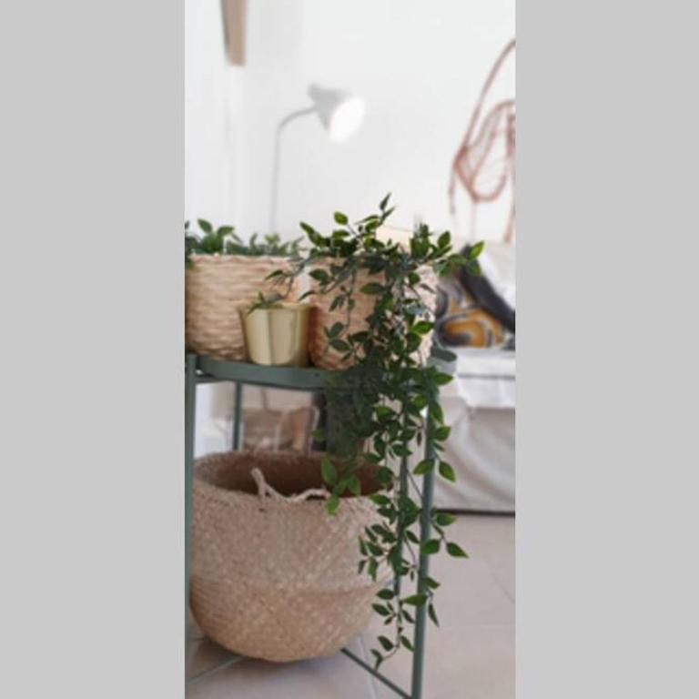 Apartamento San Roque- Street Lecha Marzo - Apartamento de 2 dormitorios - 14