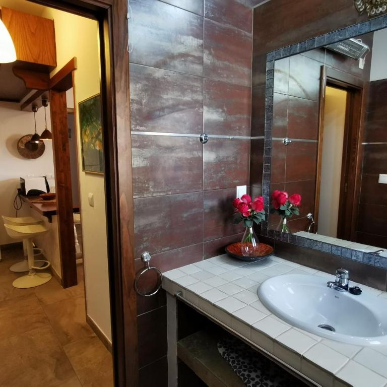 Apartamentos Alma y Montaña - Apartamento de 1 dormitorio - 56