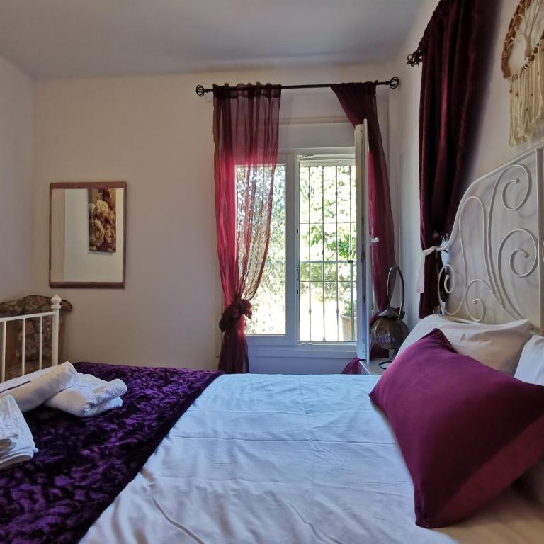 Apartamentos Alma y Montaña - Apartamento de 1 dormitorio - 11