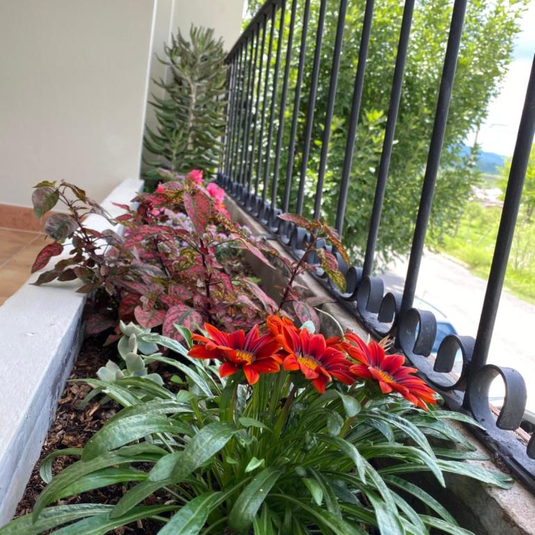 Like Home - Apartamento de 2 dormitorios - 6