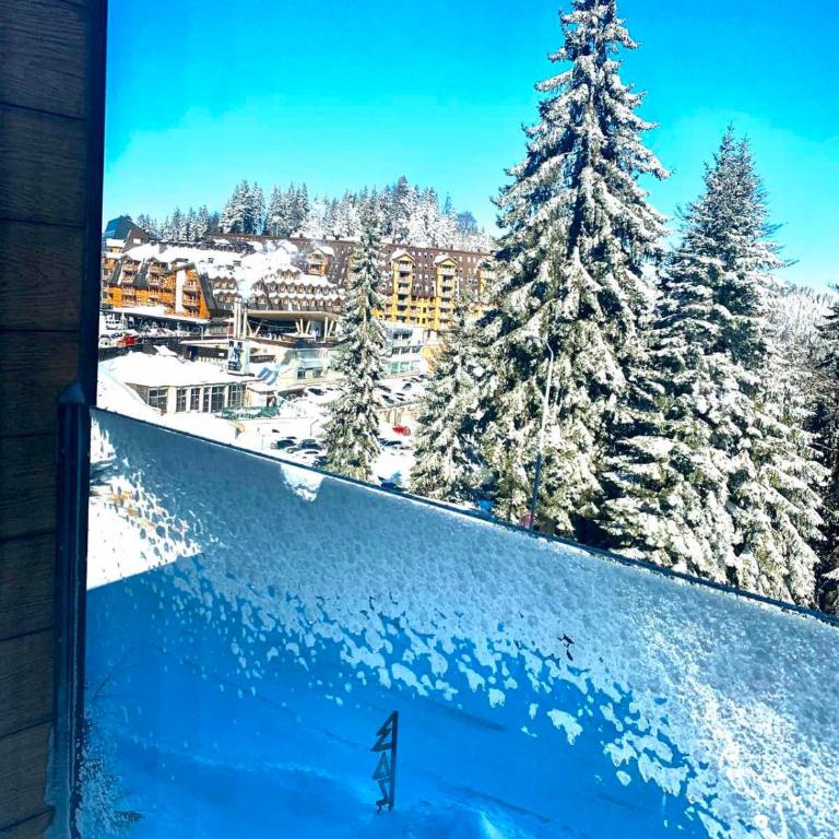 Alpin Apartments Jahorina - Deluxe Apartment - 1