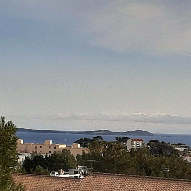 VUE MER a 180 degré - Appartement 1 Chambre - 20