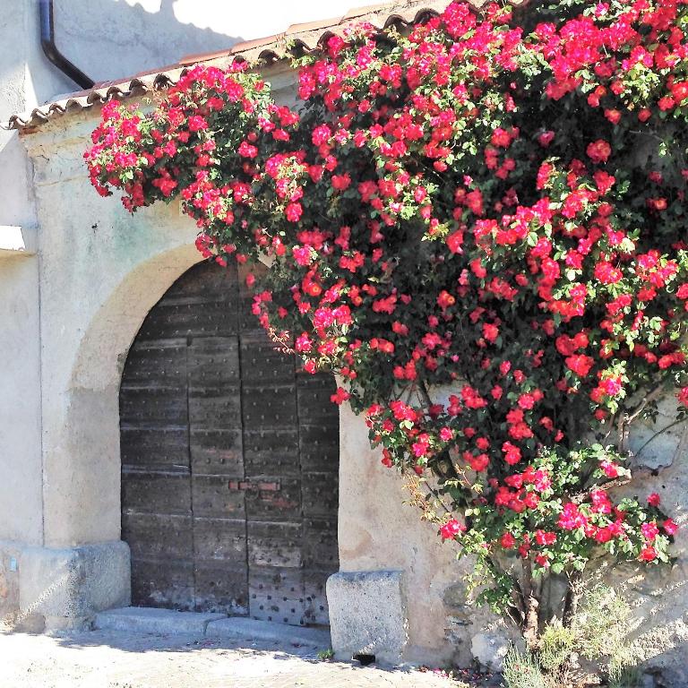Ap. Artù - Lago di Garda - Appartamento con 3 Camere da Letto - 52