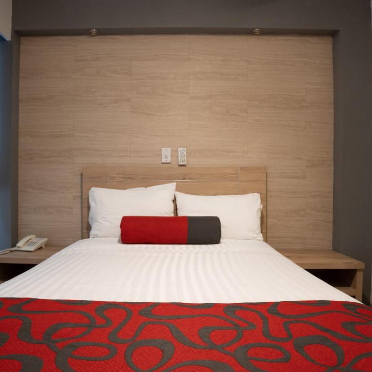 Hotel Roble - Habitación Estándar - 6