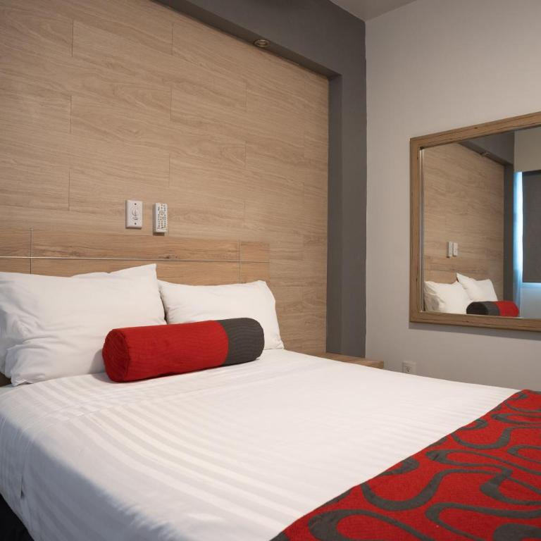 Hotel Roble - Habitación Estándar - 10