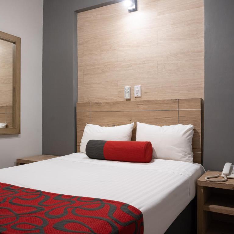Hotel Roble - Habitación Estándar - 11
