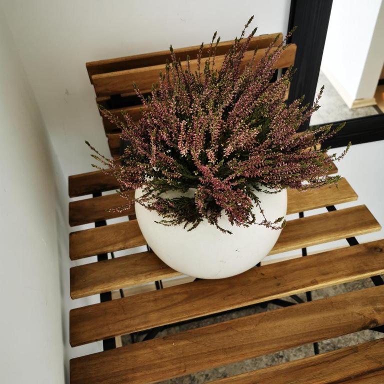 GOLD Nest - Apartman - 18