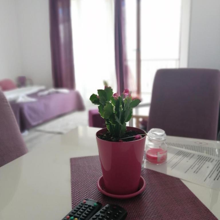 Apartmani Sport Igalo - Studio Apartment - 5