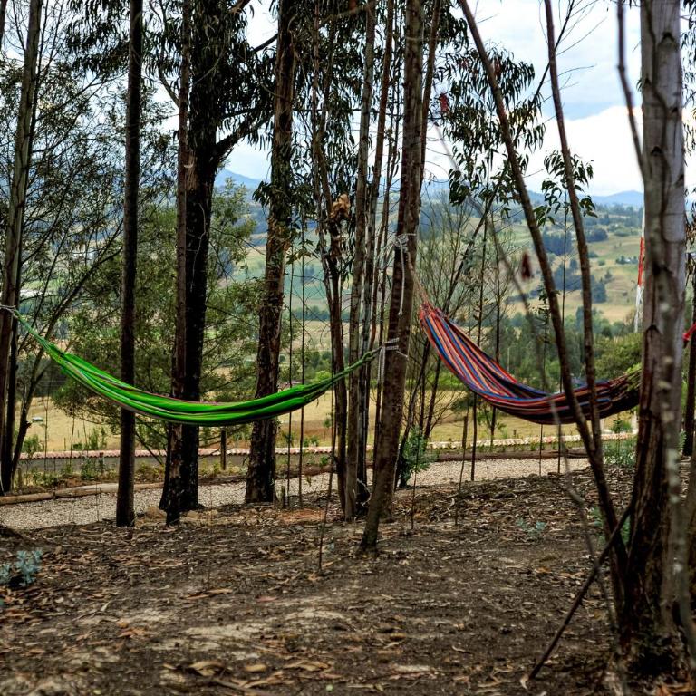El Bosque de Paipa - Casa Móvil - 22