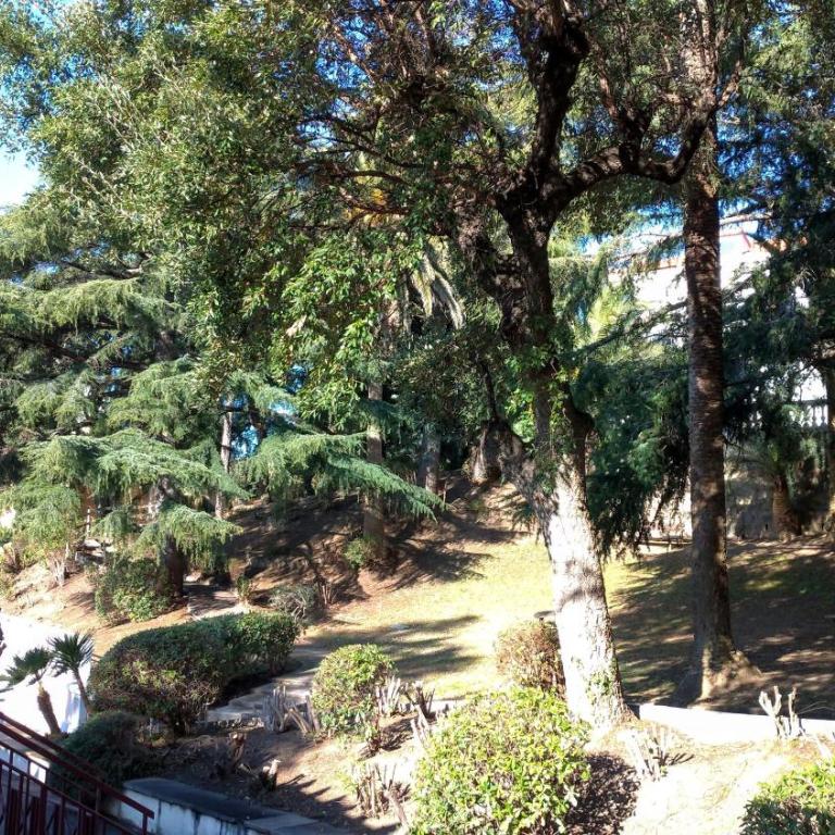 Studio cabine vue mer, piscine panoramique, parking couvert - Studio - Vue sur Mer - 27