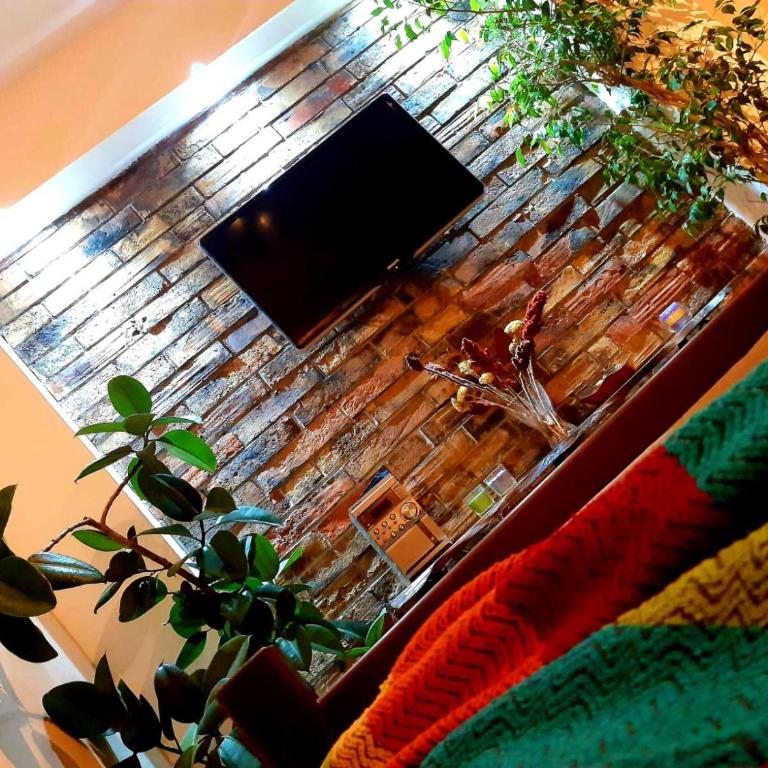 Natura Apartment - Apartman - Prizemlje - 25