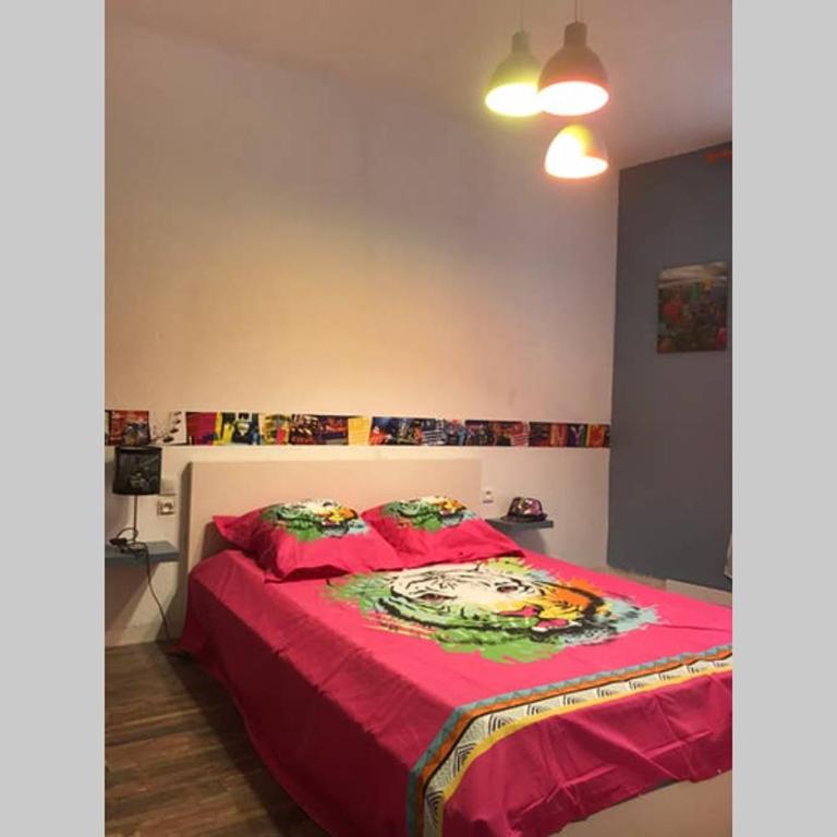 APPARTEMENT STYLE POP ART avec GARAGE CENTRE HISTORIQUE BEZIERS - Appartamento con 1 Camera da Letto - 30