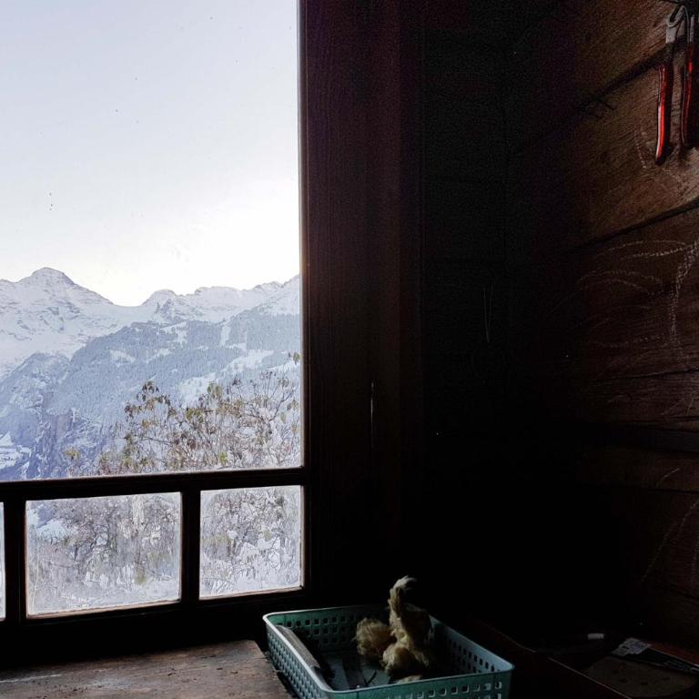 Chalet Ledibach - Superior Chalet - 36
