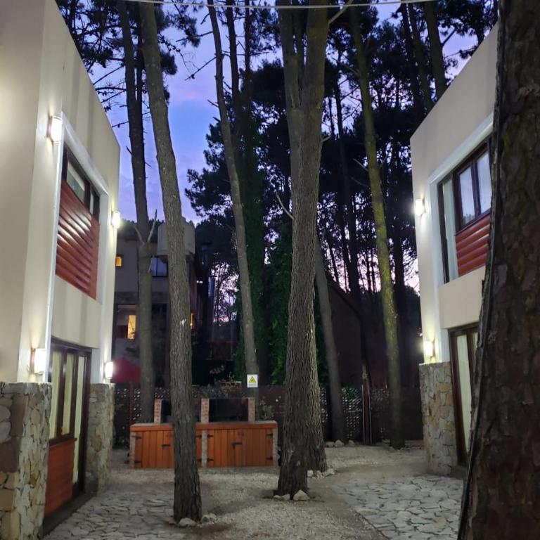 Cabañas Paseo de las Luces - Two-Bedroom House - 47