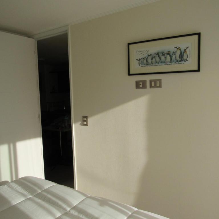 Birdhouse Apartment - One-Bedroom Apartment - 10