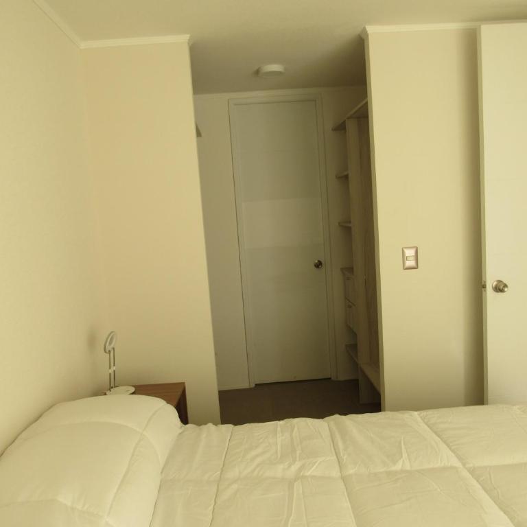 Birdhouse Apartment - One-Bedroom Apartment - 9